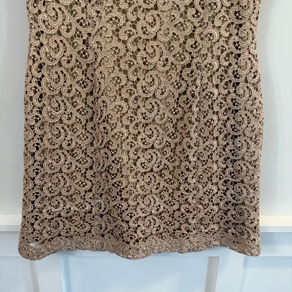 Women’s Tahari brown Elegant Lace Sleeveless shift Dress size 16 - Picture 3 of 7